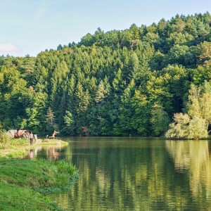 Beze jména